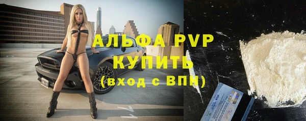 винт Бикин