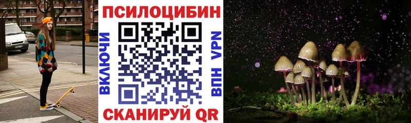 Псилоцибиновые грибы мицелий Ноябрьск
